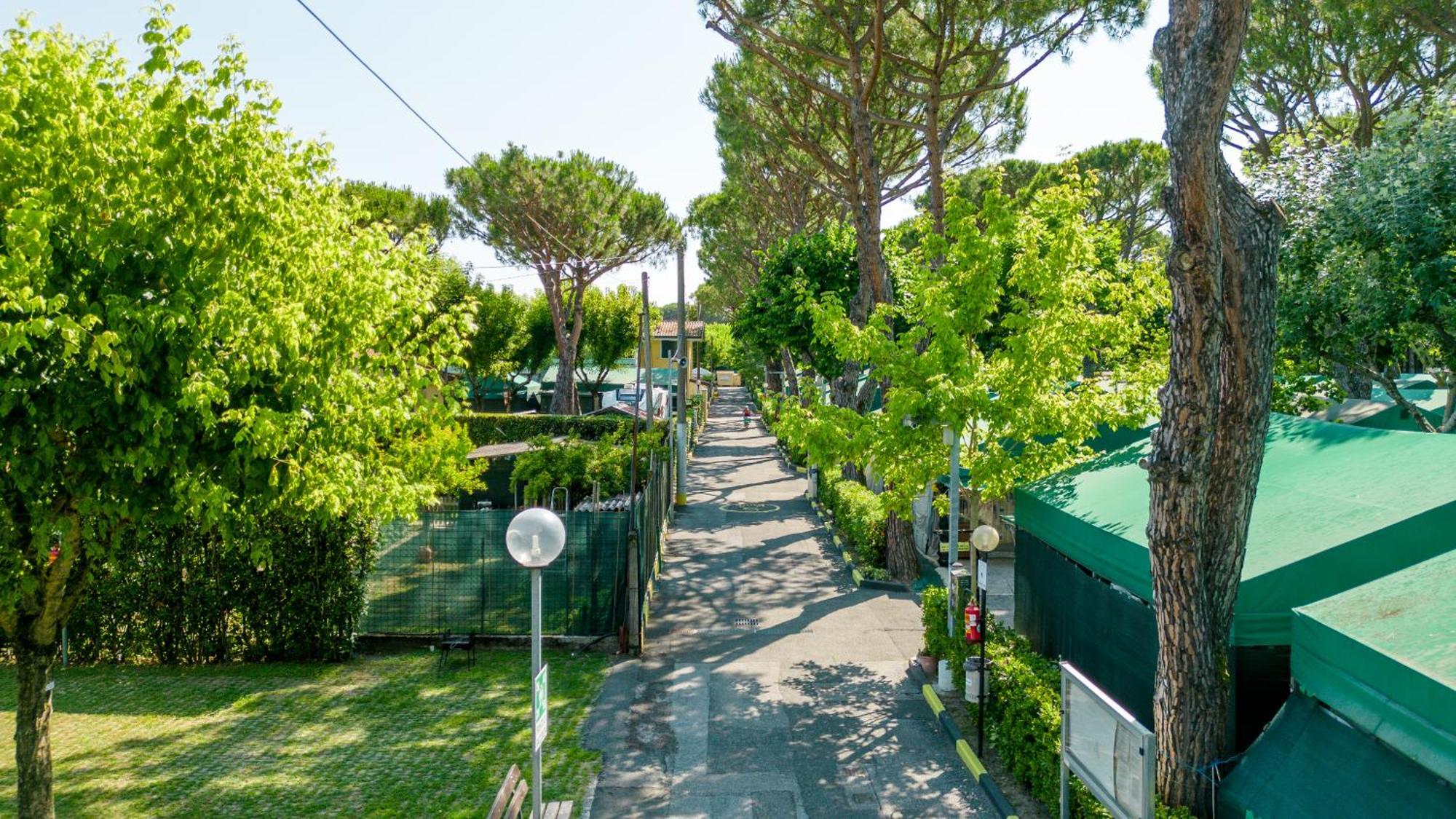Camping Apuano Marina di Massa Exterior foto