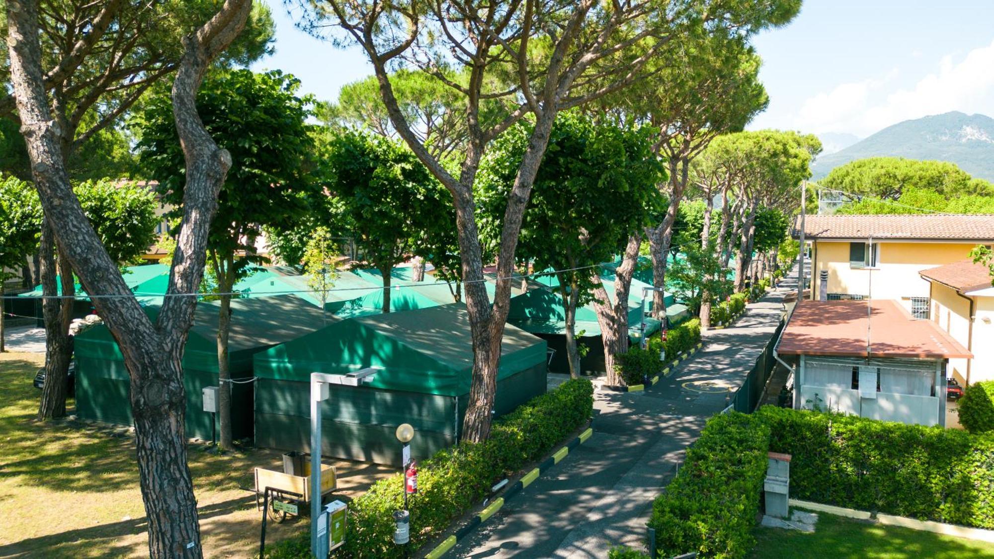 Camping Apuano Marina di Massa Exterior foto
