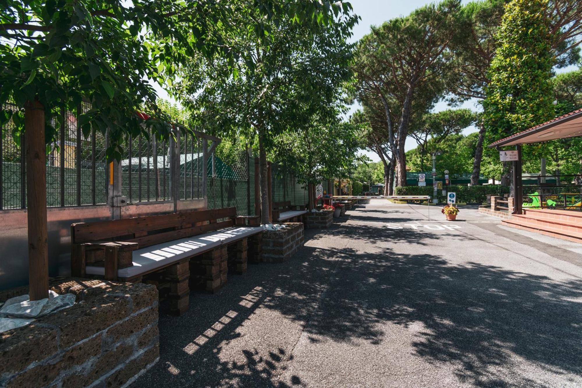 Camping Apuano Marina di Massa Exterior foto